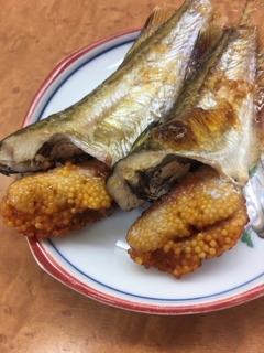 ハタハタ 魚正