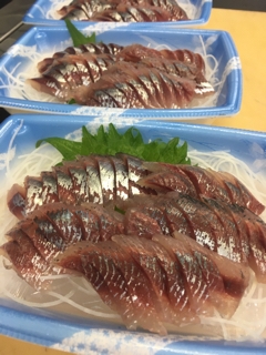 イワシ 魚正